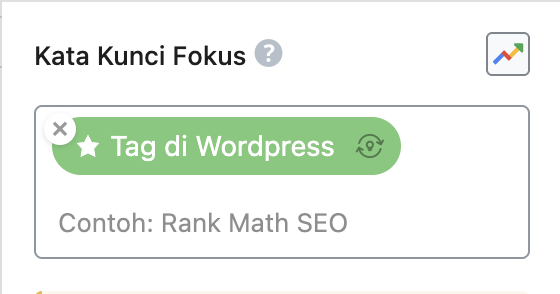 penggunaan tag di wordpress plugin Rank Math